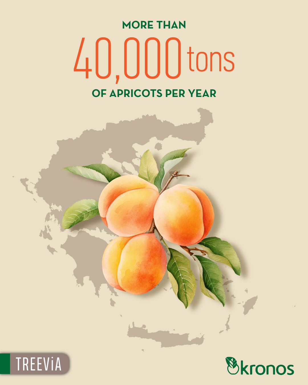 Kronos SA Quality Canned Fruit Products | Skýdra