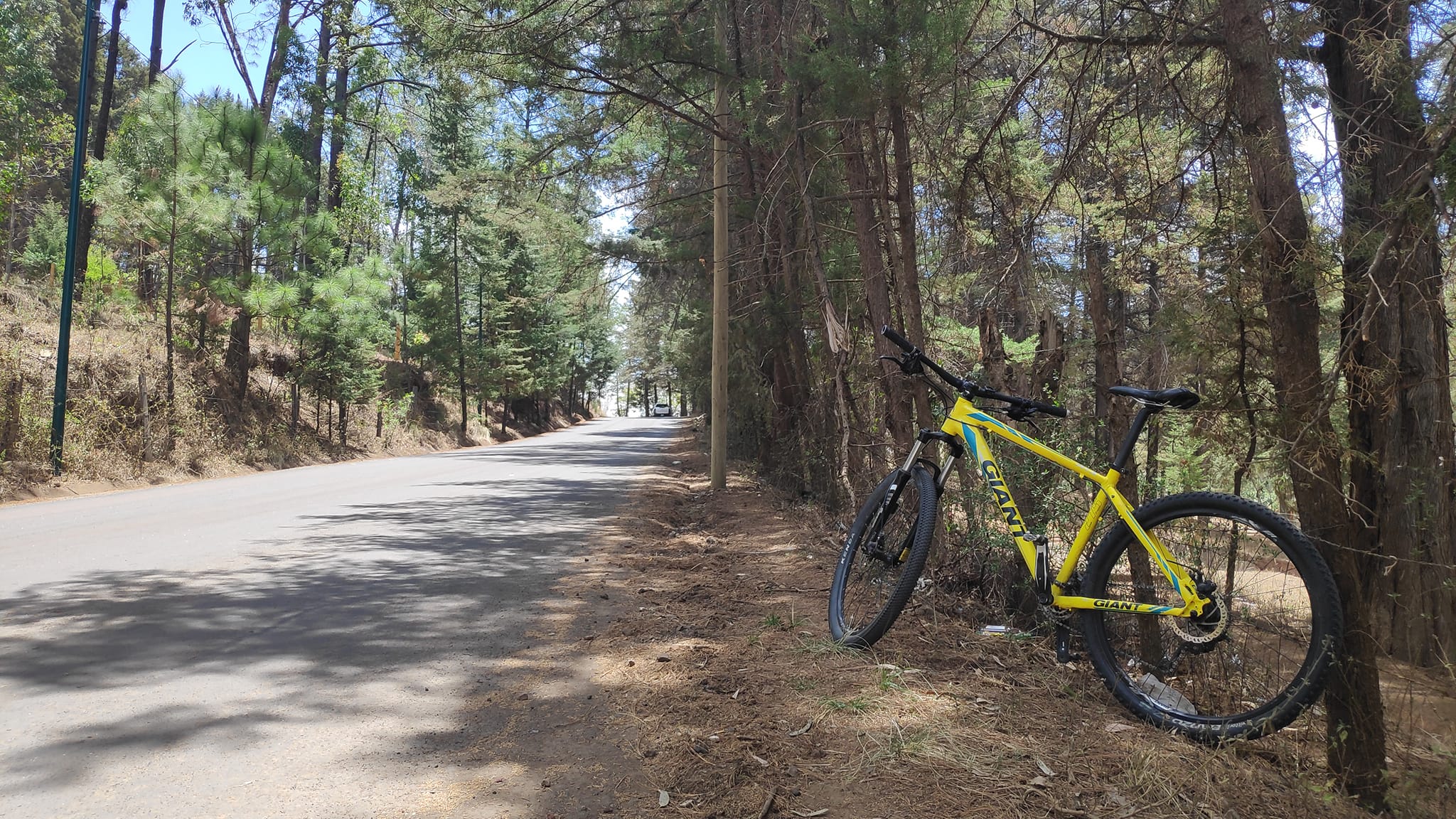 Black Riders MTB