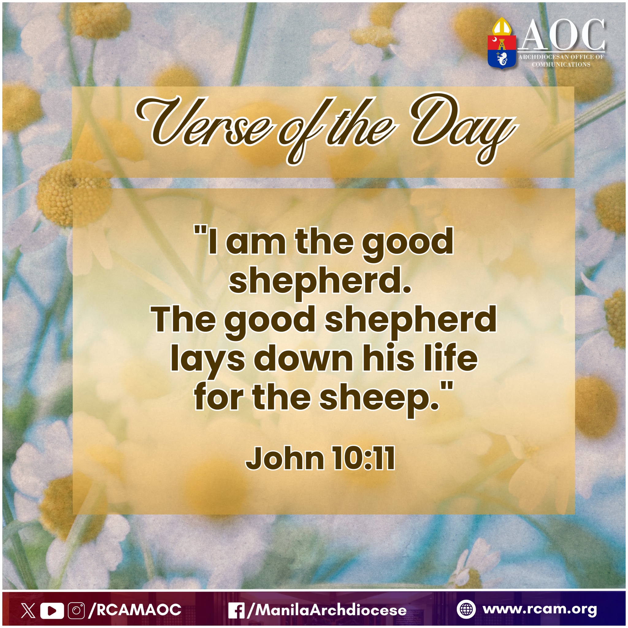 The Roman - VERSE OF THE DAY || 