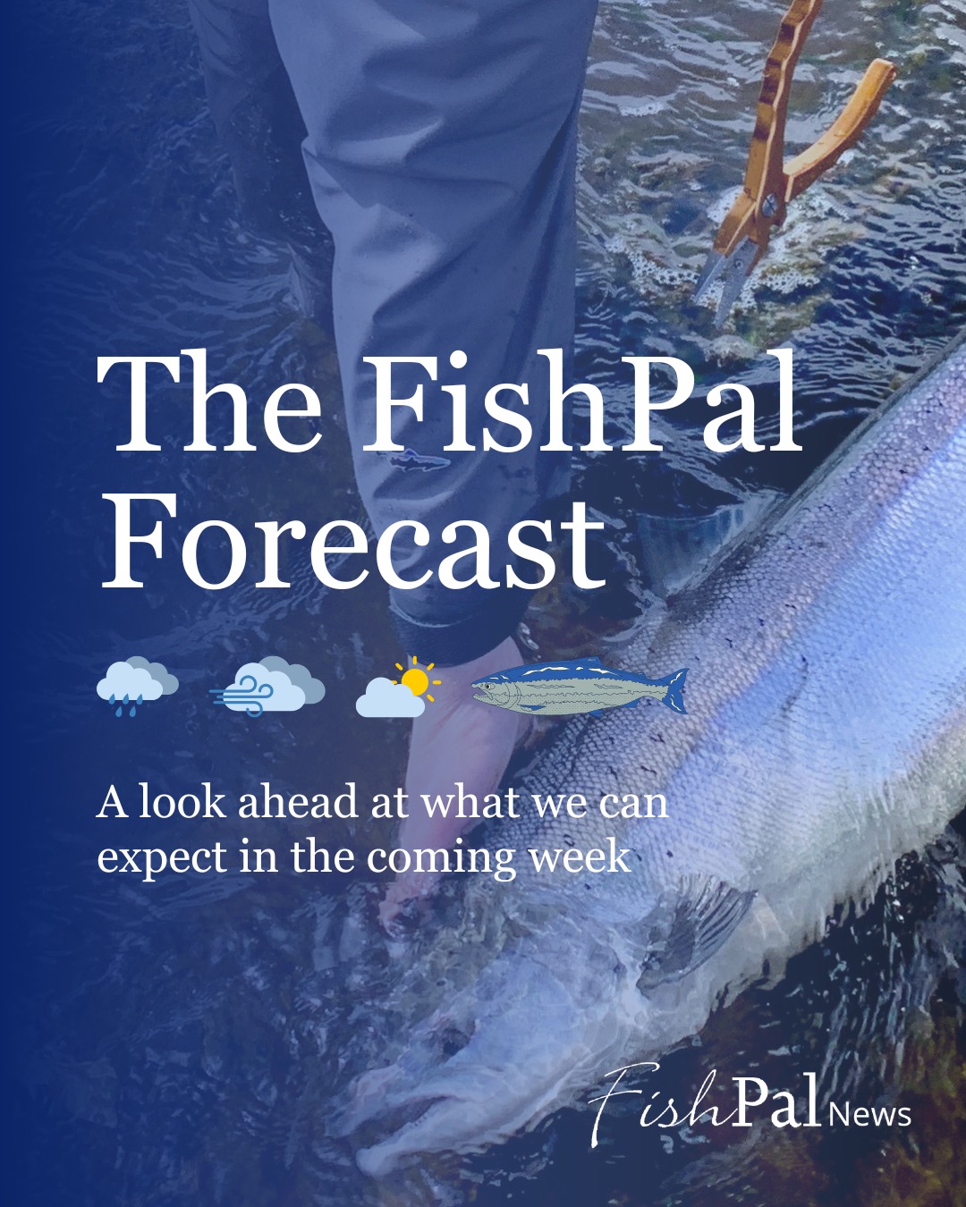 FishPal - The FishPal Forecast: A look ahead at what we...