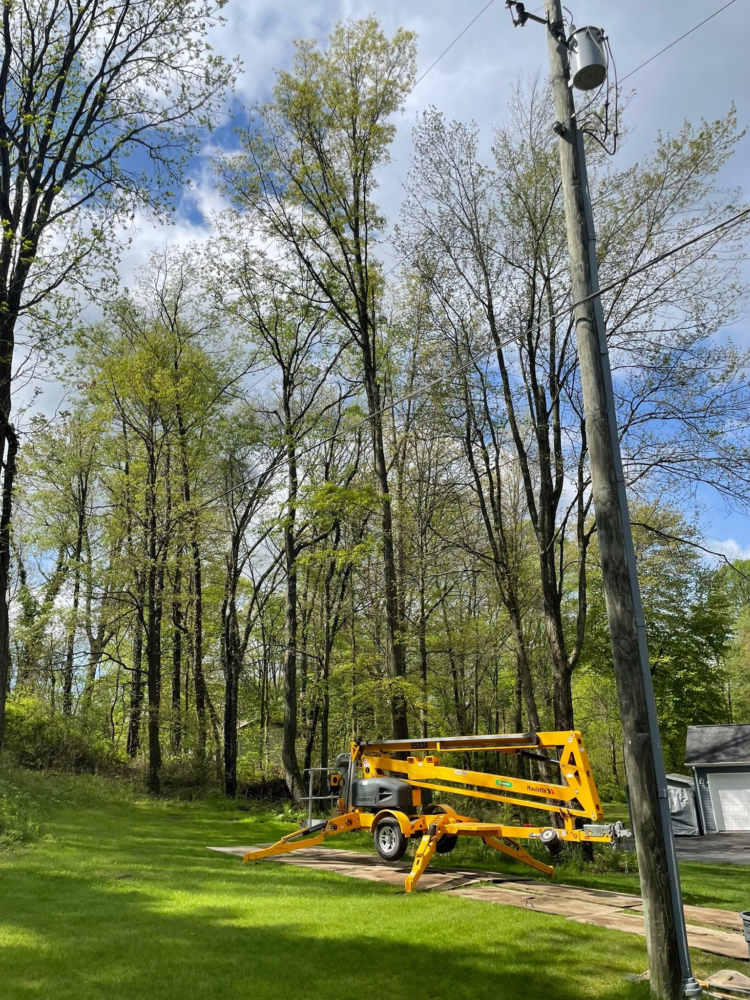 Mild Tree Care