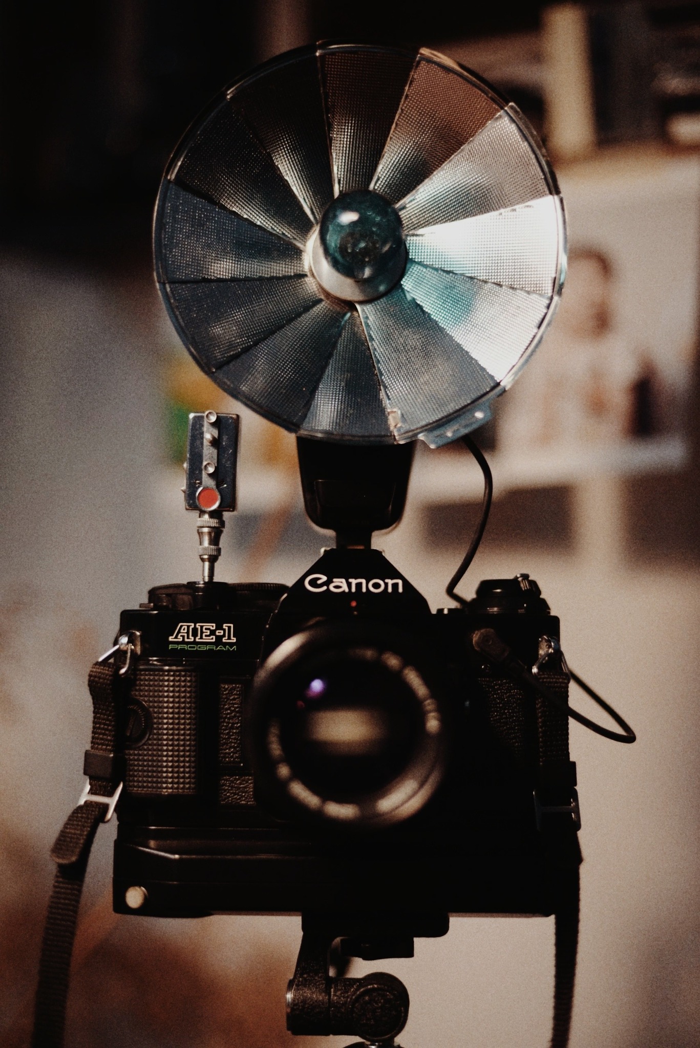 Canon AE-1 with FD 100-300mm lens and 400TX