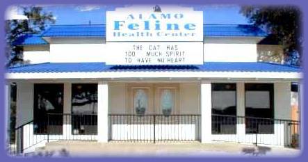 Alamo Feline Health Center | San Antonio TX
