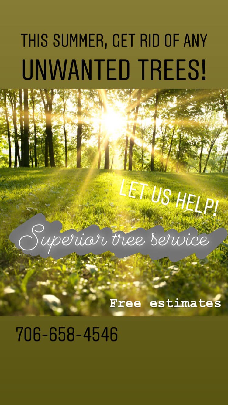 Superior Tree Service | Cornelia GA