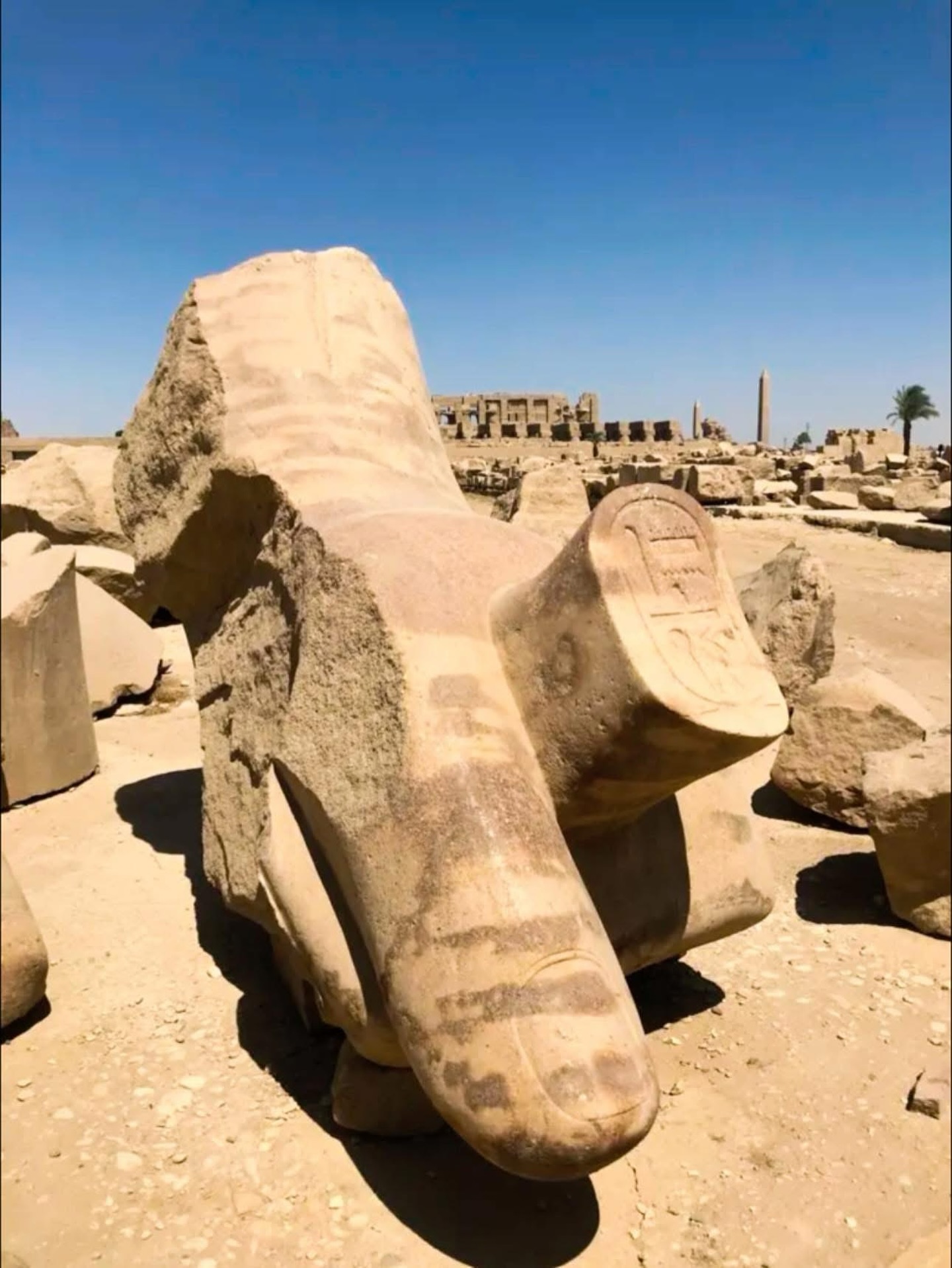History’s - In 2014, archaeologists from the French-Egyptian Centre for ...