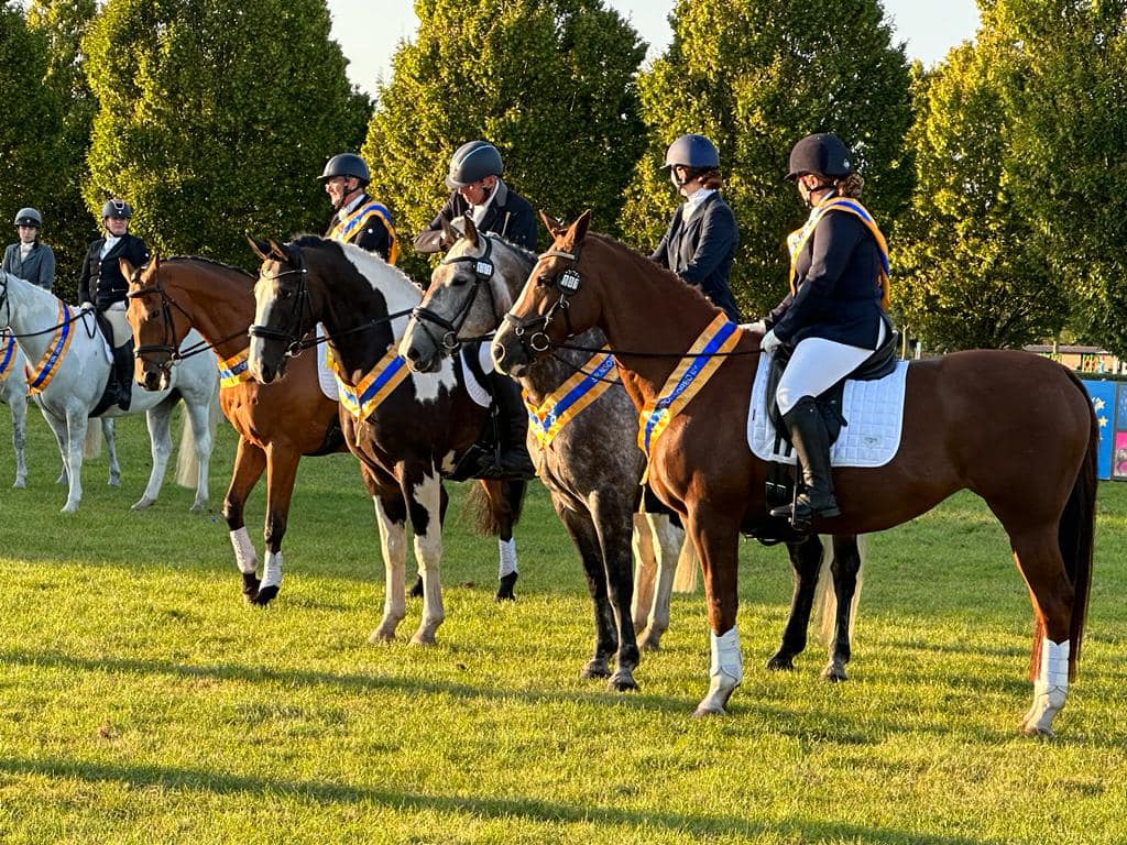 British Riding Club Area 3 - NLG