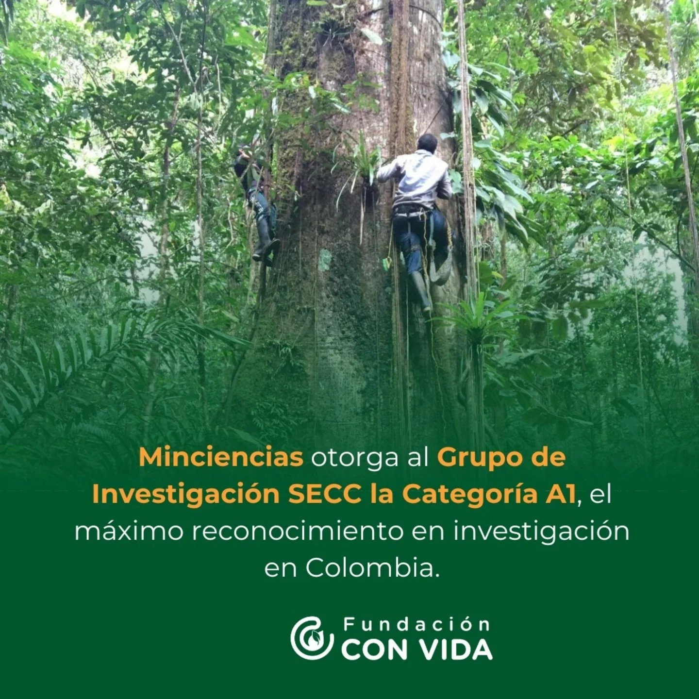 ♻️#DíaMundialDelReciclaje | Te... - Fundación Con Vida | Facebook