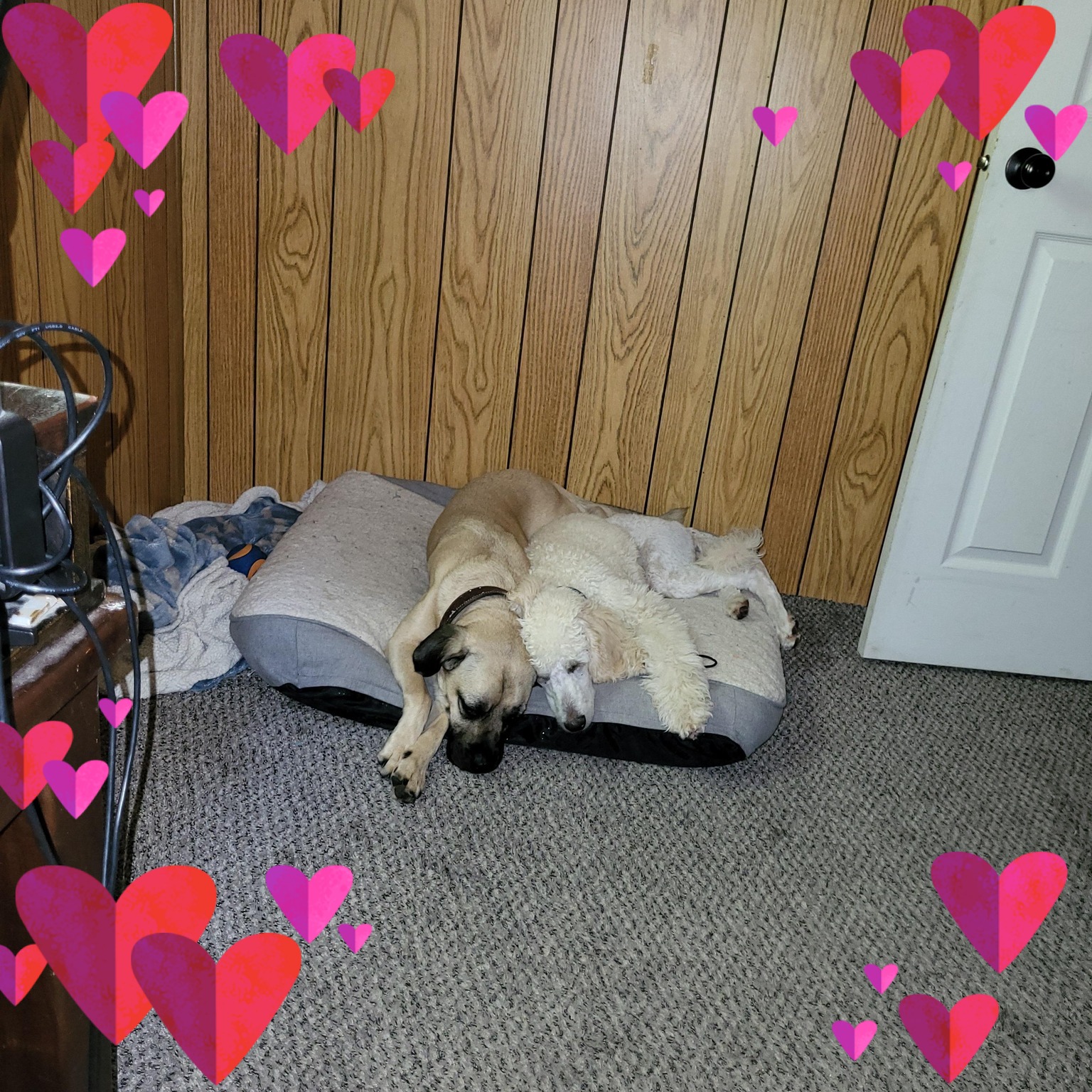 Cozy Gamers 👾🪴 | Hello there! Does anyone here play Skyrim on pc | Facebook