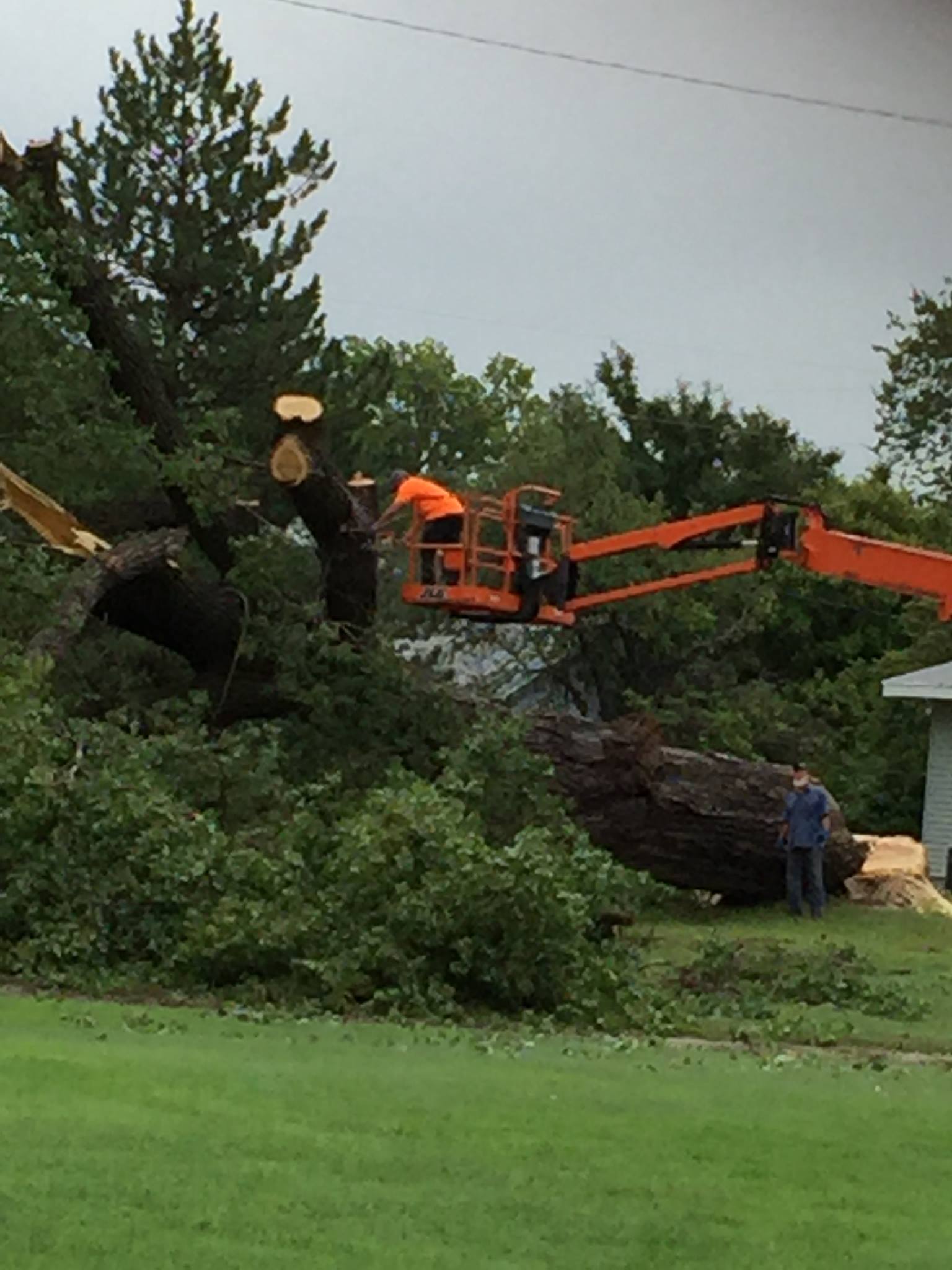 Fransen's Tree Service on Reels | Facebook