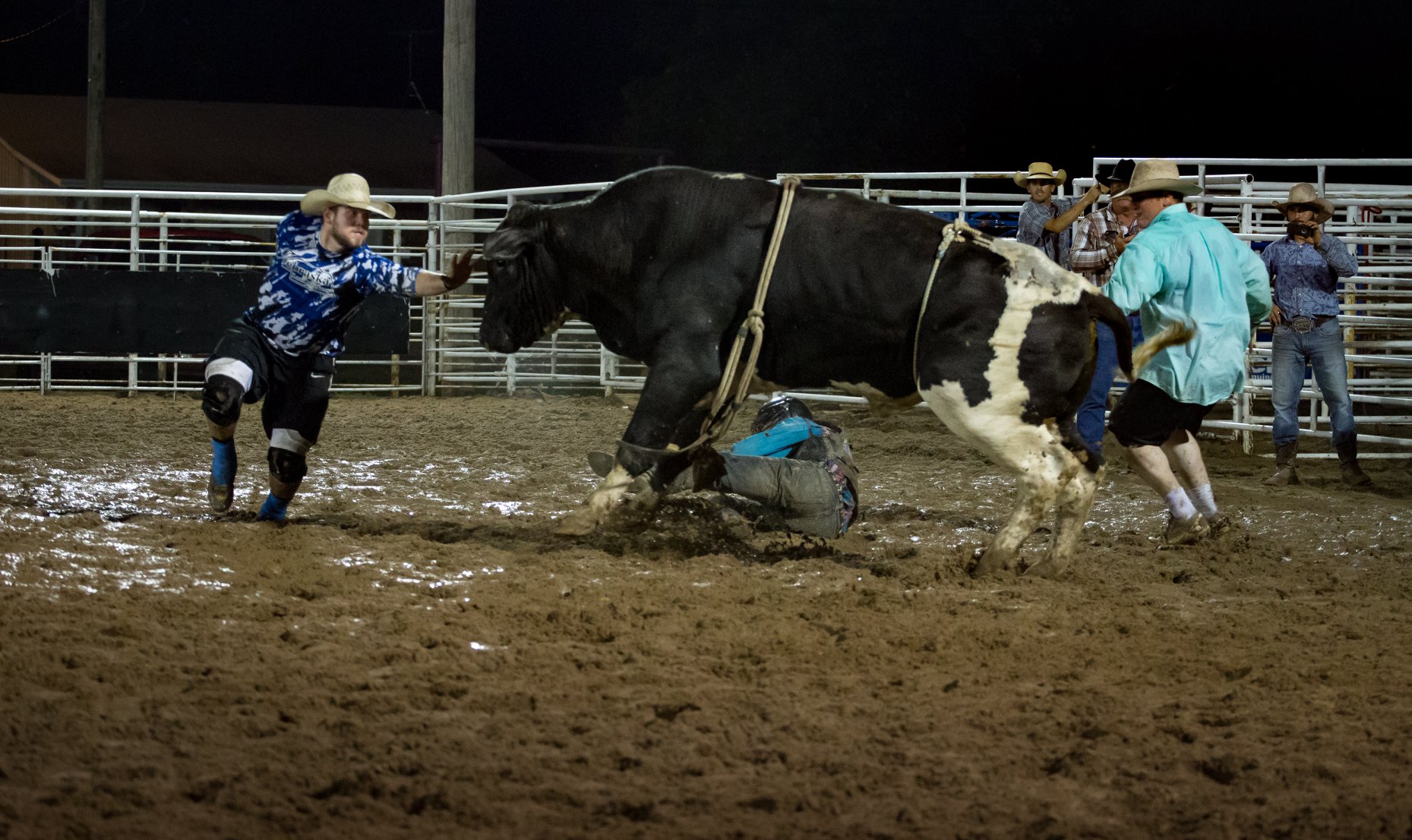 Bent Light Rodeo... - Bent Light Rodeo Photography