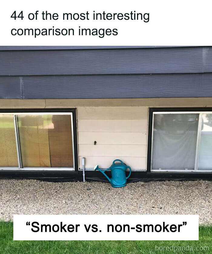 The Humor - 44 of the most interesting comparison images (link in the ...