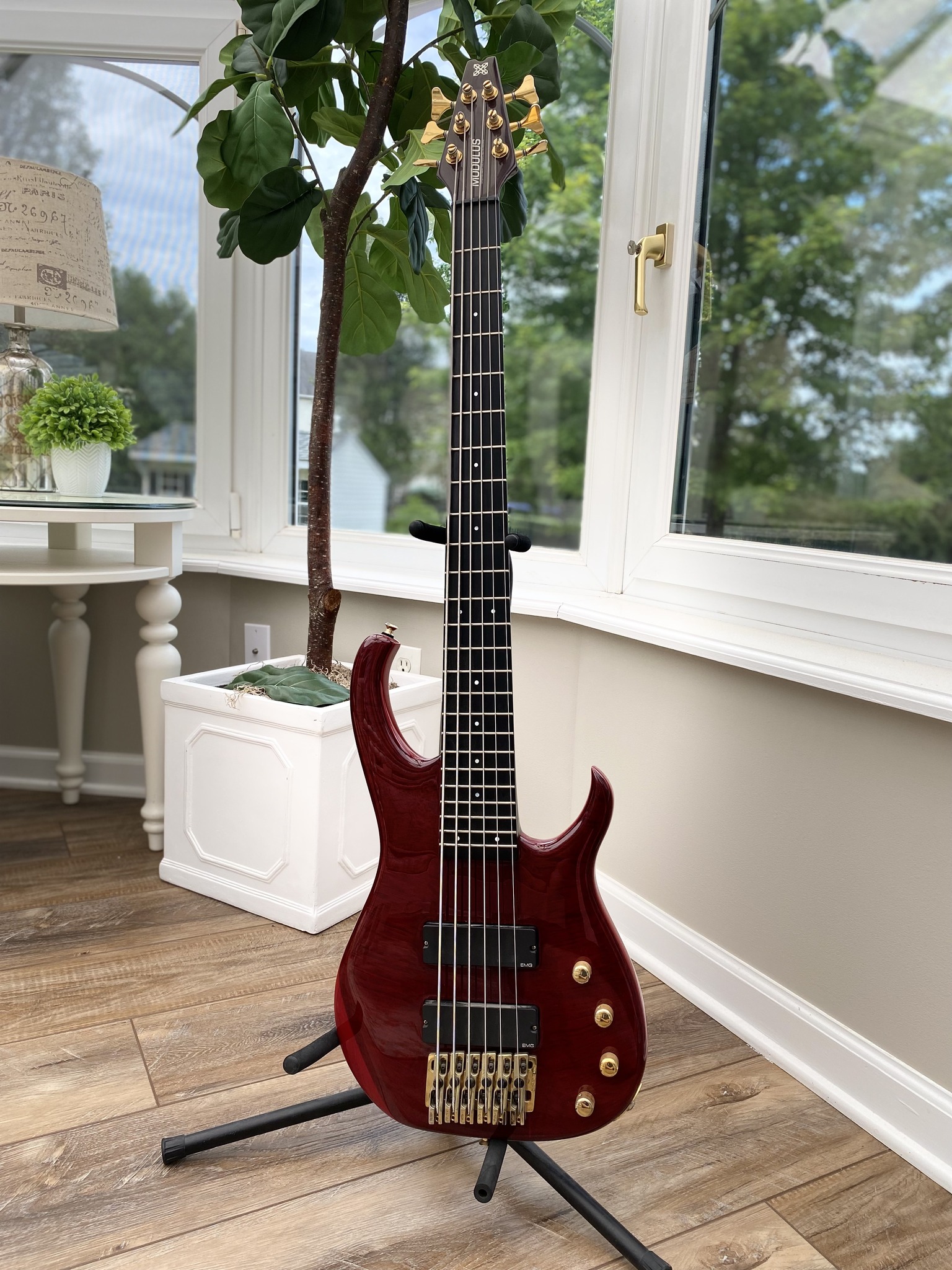 New bass day ♥️ 1992 Modulus M92