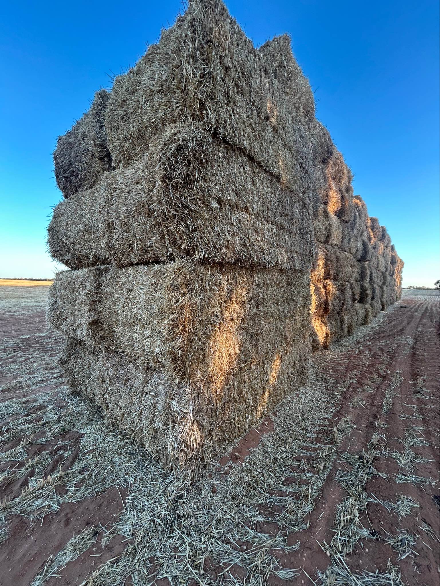 New seasons barley straw header tailings bales - Food - Patchewollock ...