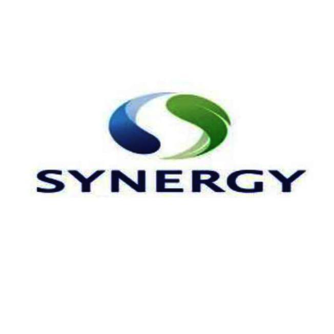 Synergy World Ltd