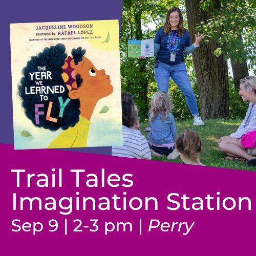 Stark Library - ️ Let your imagination fly, using just a... | Facebook