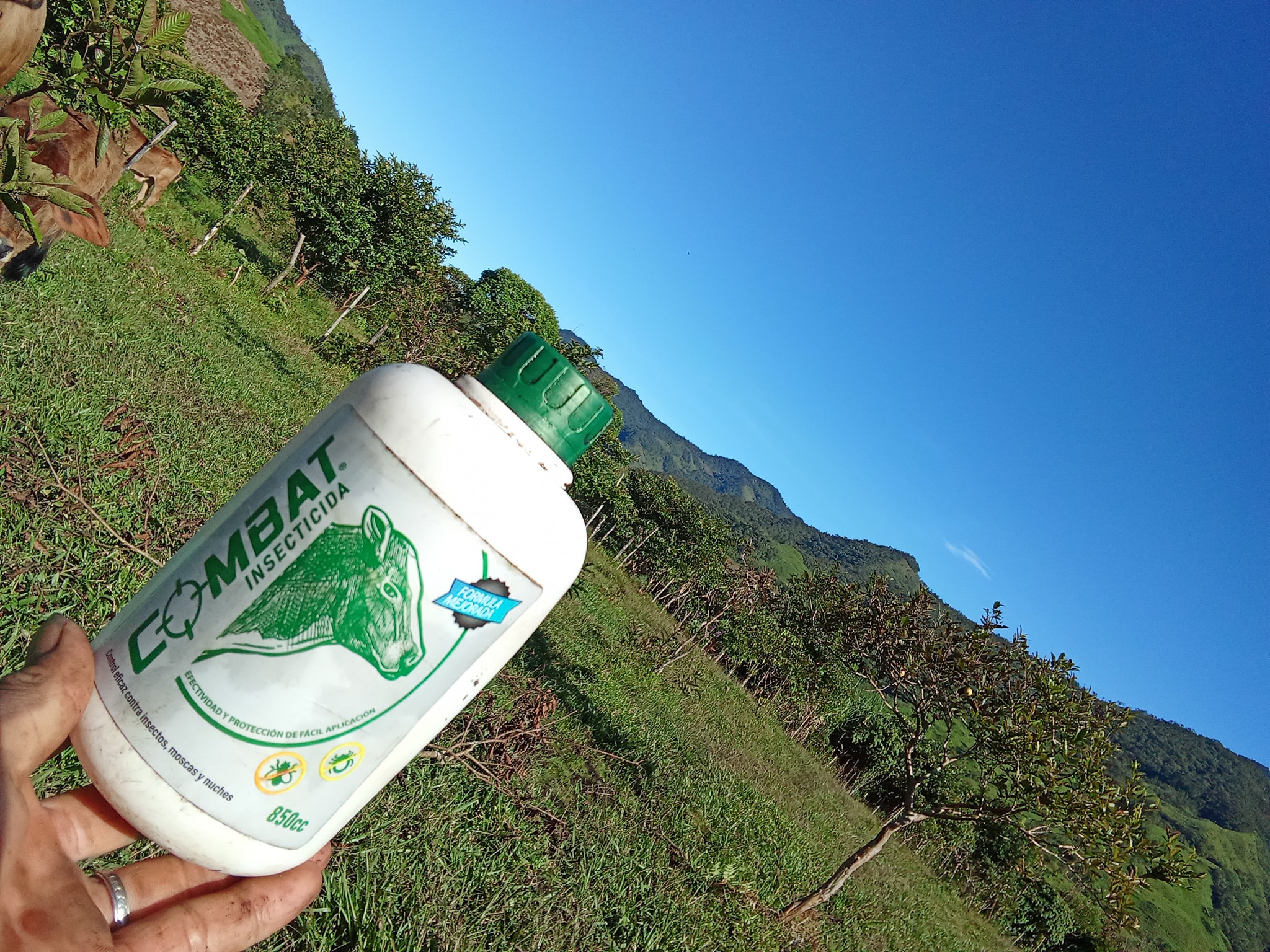 Combat Insecticida