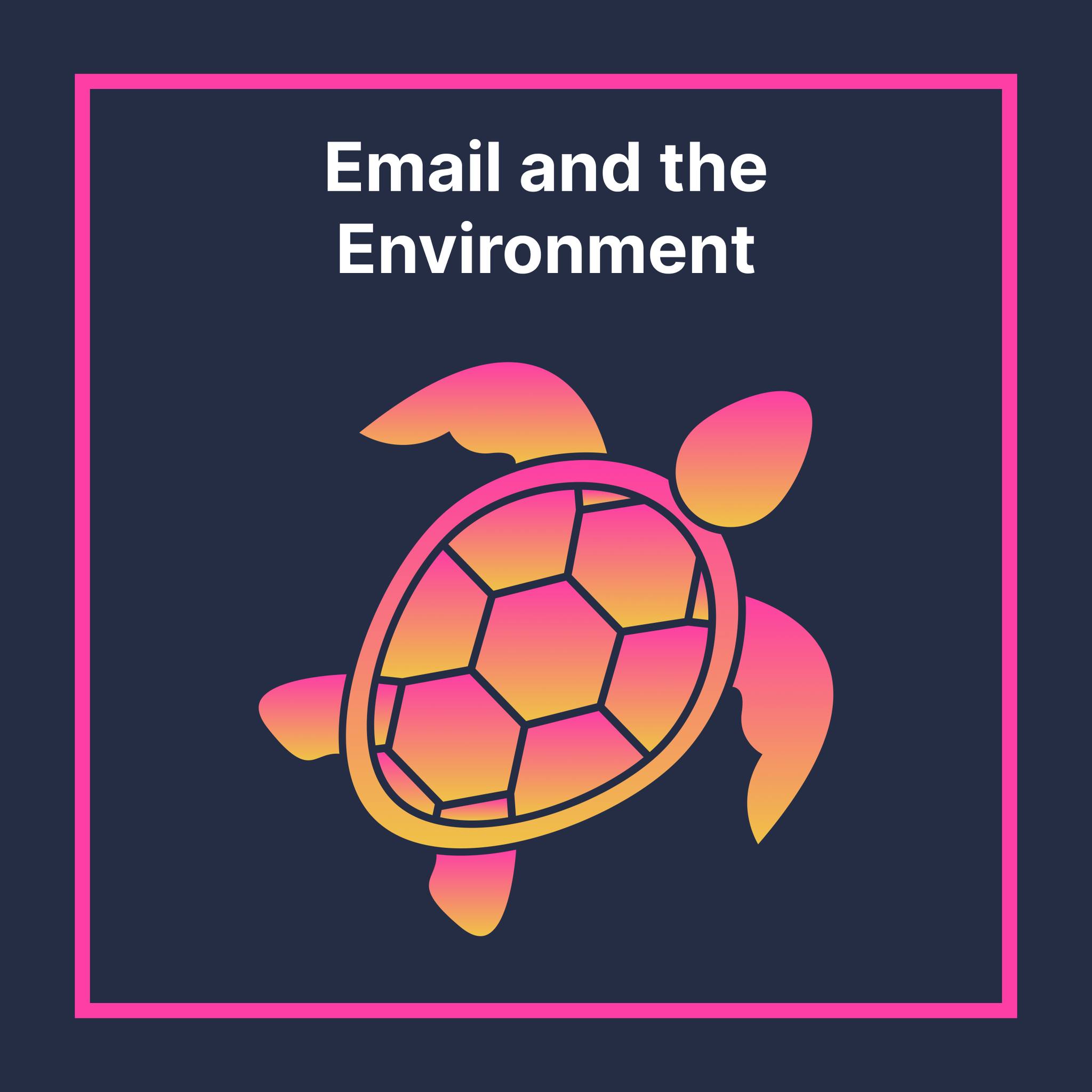 Chameleoncrm - 🌍🐢 It’s World Turtle Day! As we reflect on protecting ...