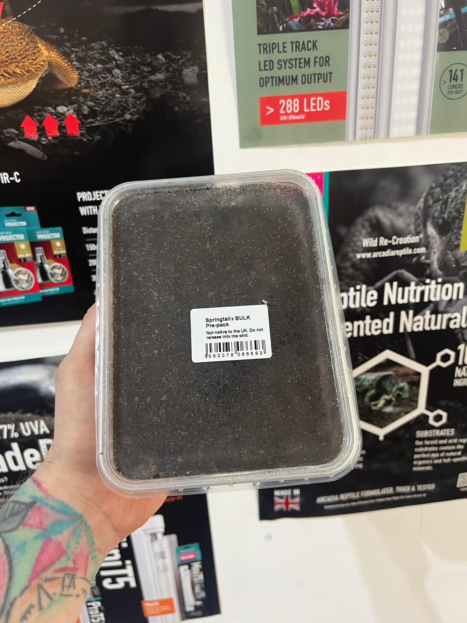 Scaped Nature - Ping! New 1L Springtail tubs! Great for... | Facebook
