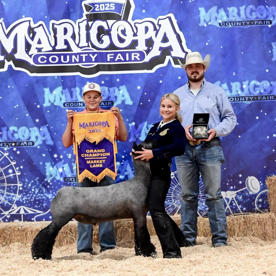 🏆 Maricopa County Fair Grand Champion 🏆... - Desert Sky Sheep | Facebook
