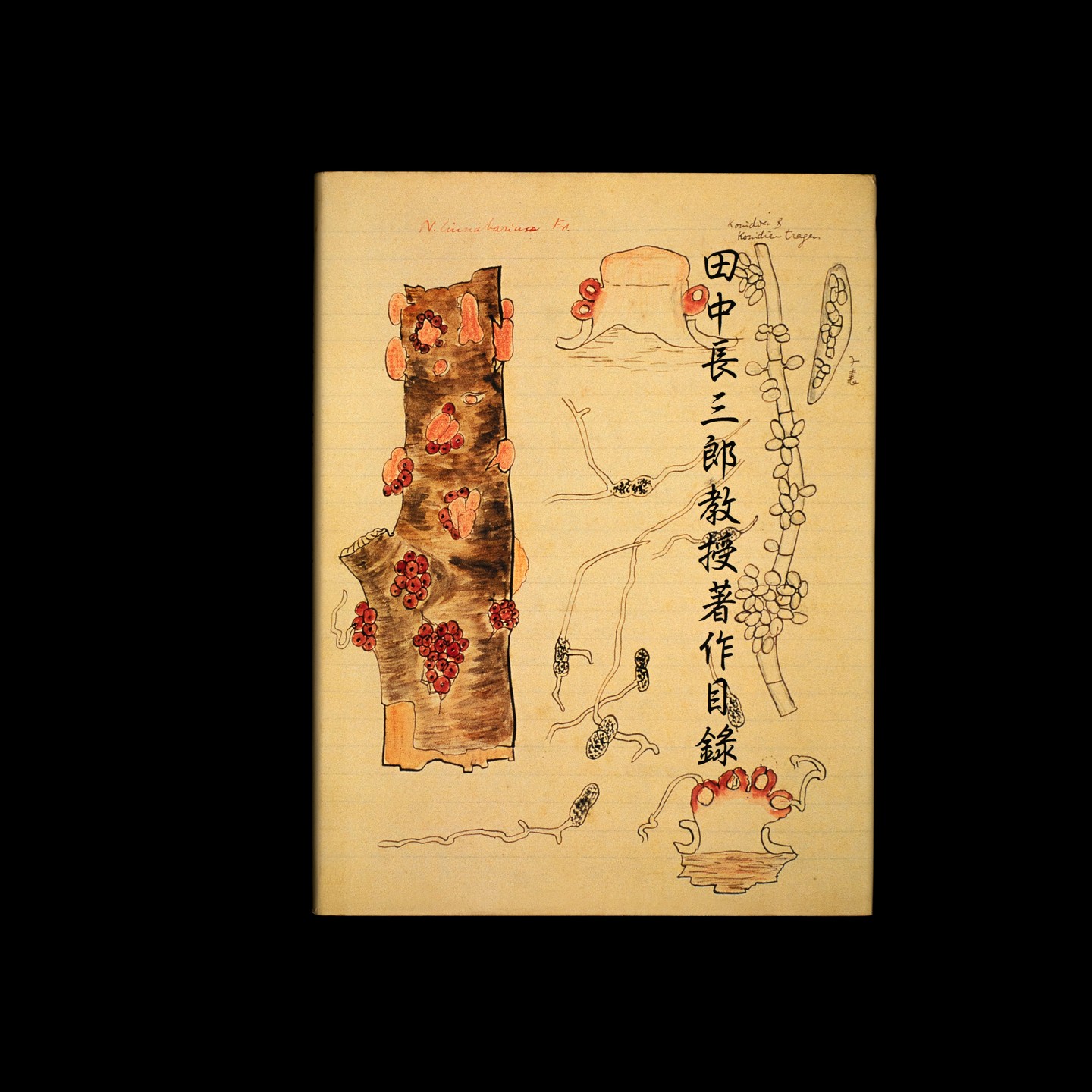 田中長三郎教授著作目錄... - 憫堂書店 MingtangBooks | Facebook