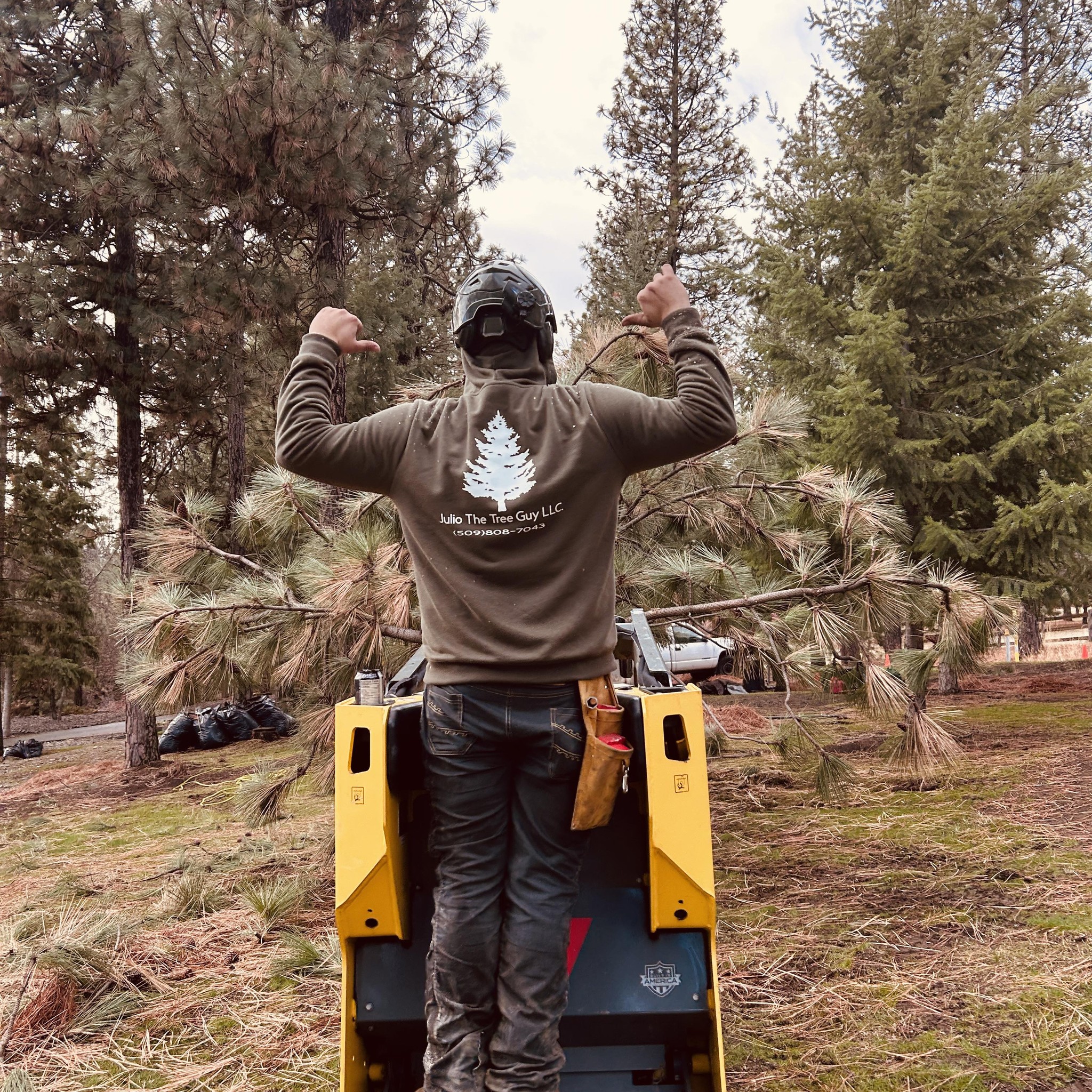 Got an uprooted tree? No problem give us a call today. Everybody needs ...