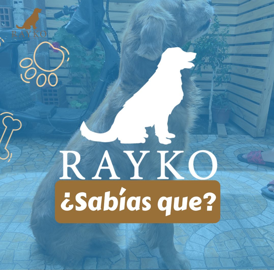 ¿Sabías que el logo de Rayko está... - Distribuidora Rayko