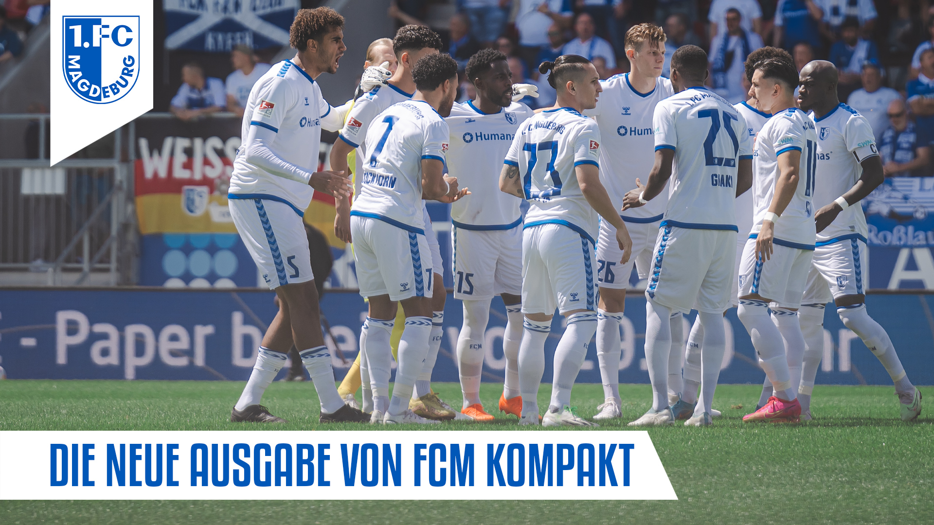 1. FC Magdeburg - 📃 Aktuelle News & Ereignisse findet ihr...