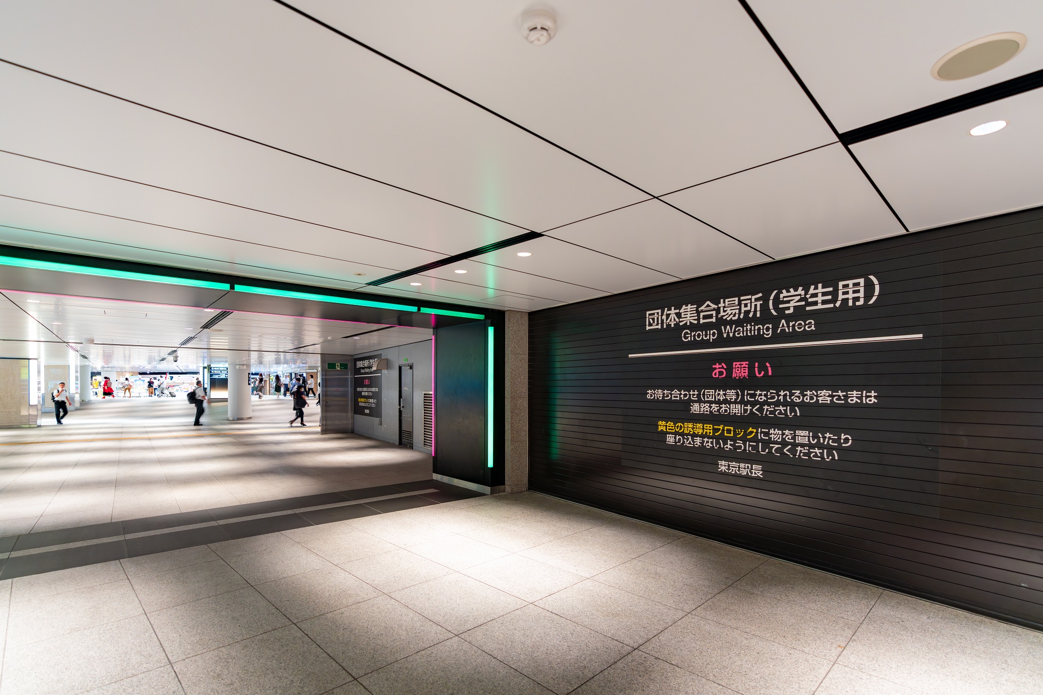 活動歴および当時の関連ビジュアル記録