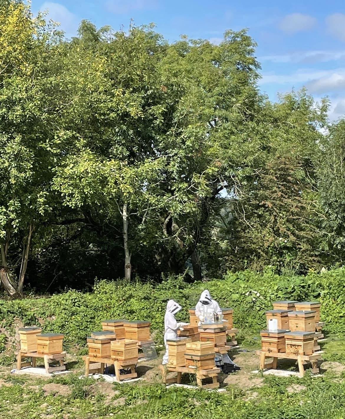 Bee Safe Supplies Ltd