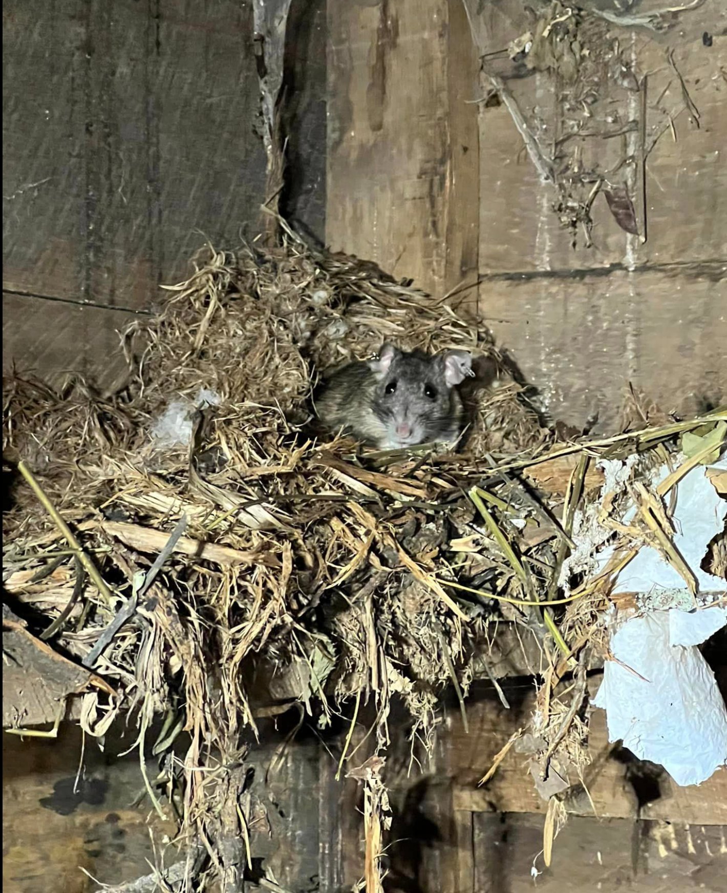 Tennessee Wildlife - Tennessee Wildlife Resources Agency