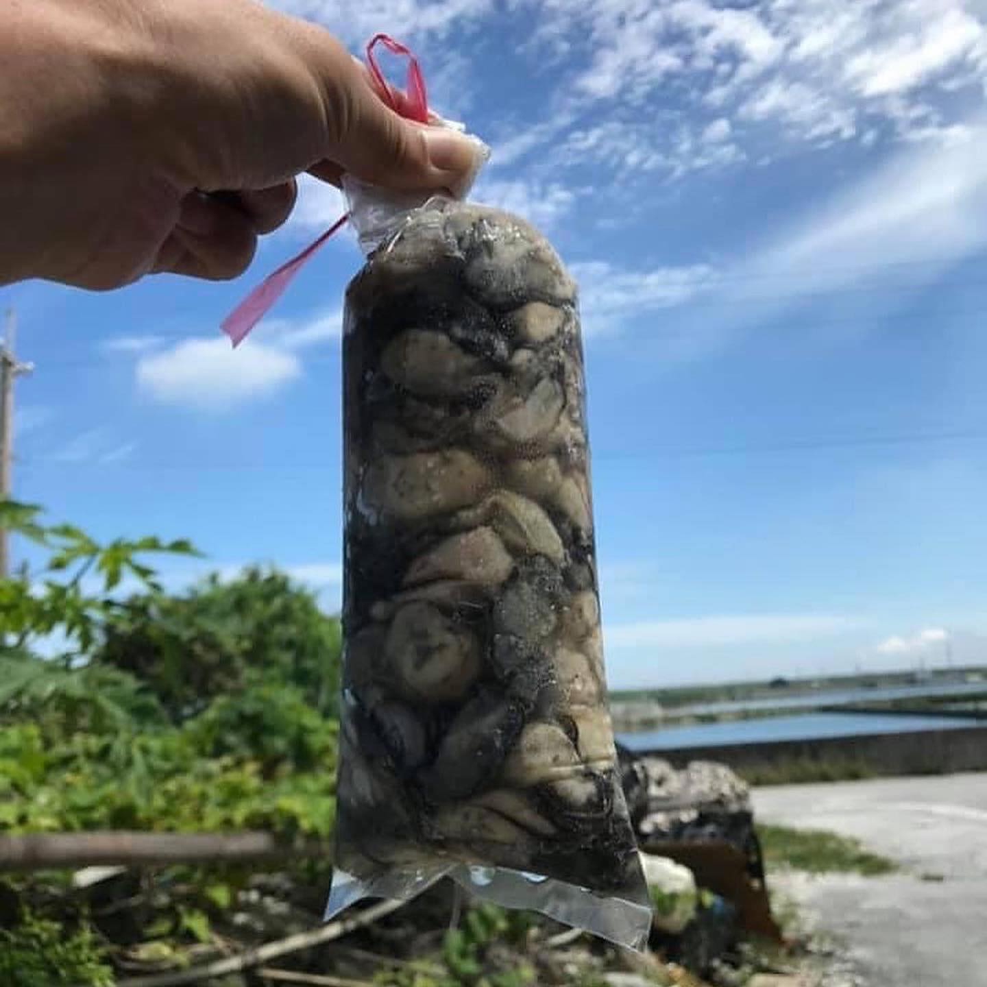 有利海產-批發、零售 - 東石老蚵仔🦪～～限量販售 大家肯定吃過一般蚵仔但不一定吃過這一味...