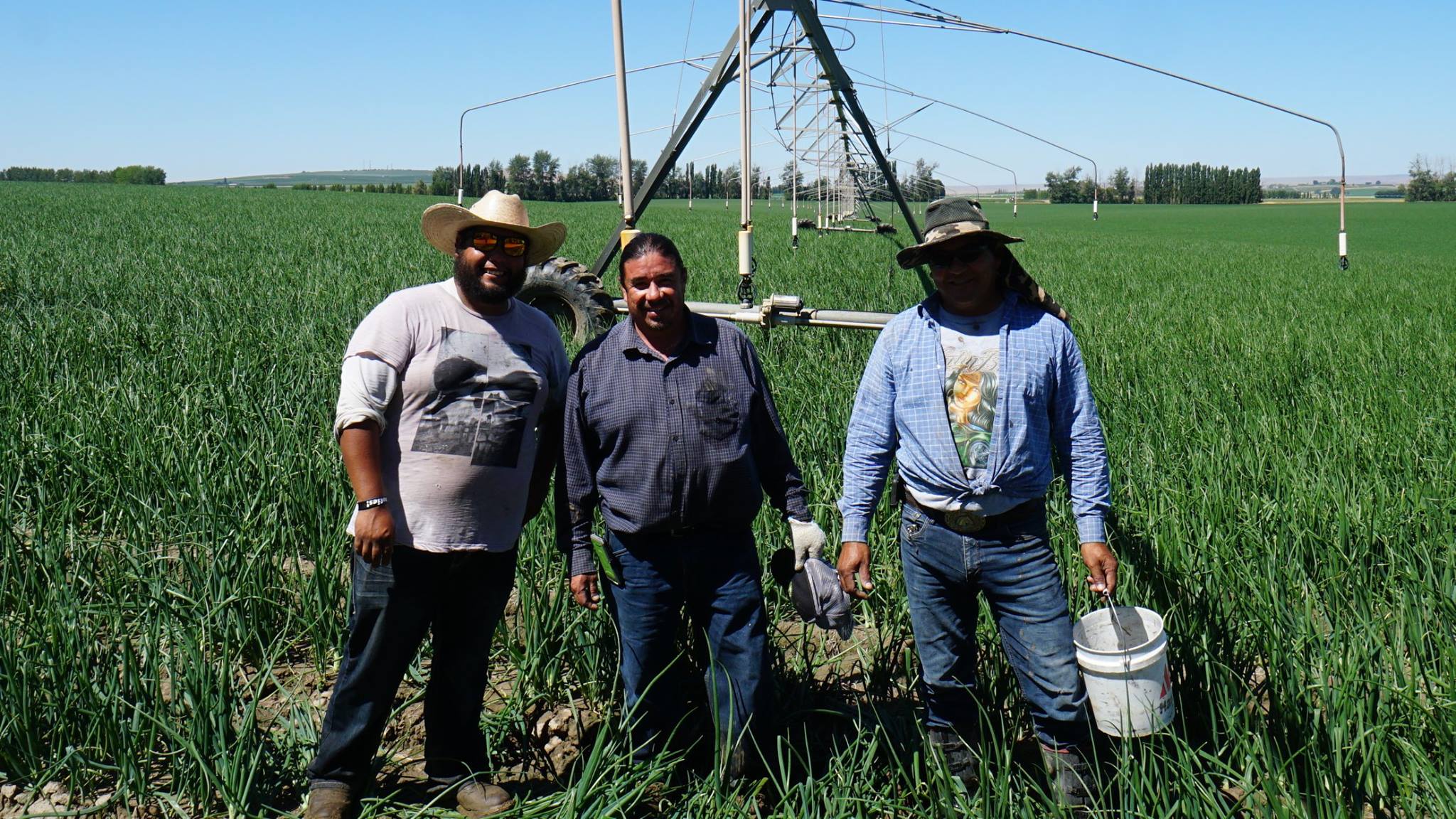 The irrigation team keeping the... - Mercer Ranches Inc. | Facebook