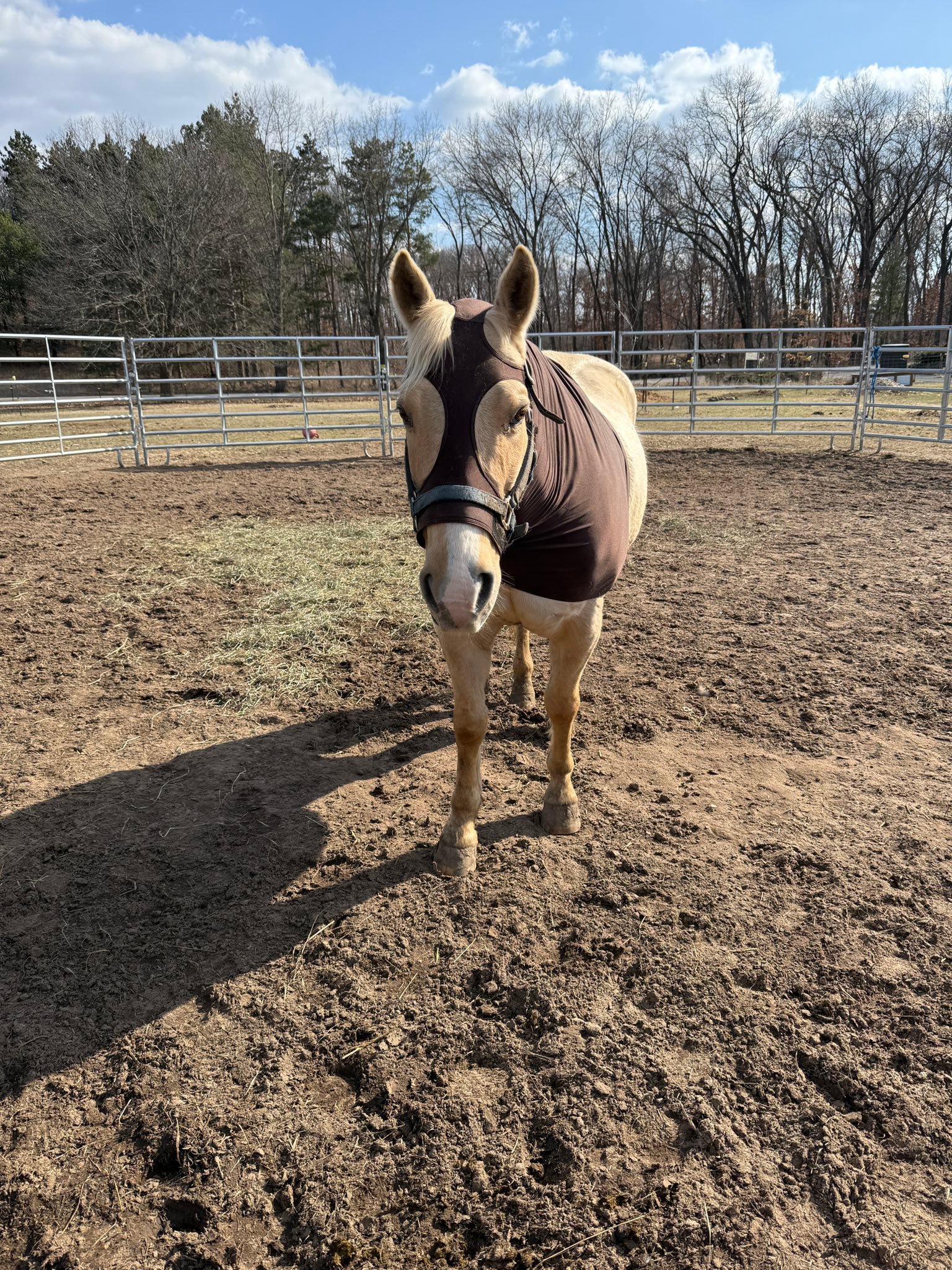 Heeling Springs At Sandy Ridge | Westfield WI