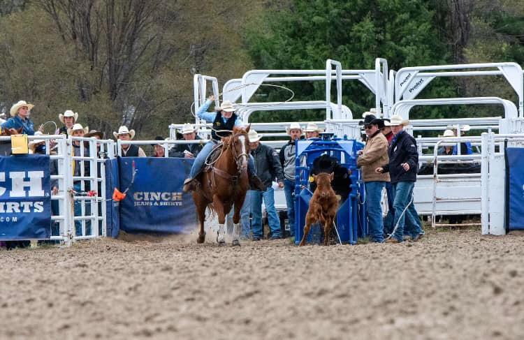 Black Hills State... - Black Hills State University Rodeo