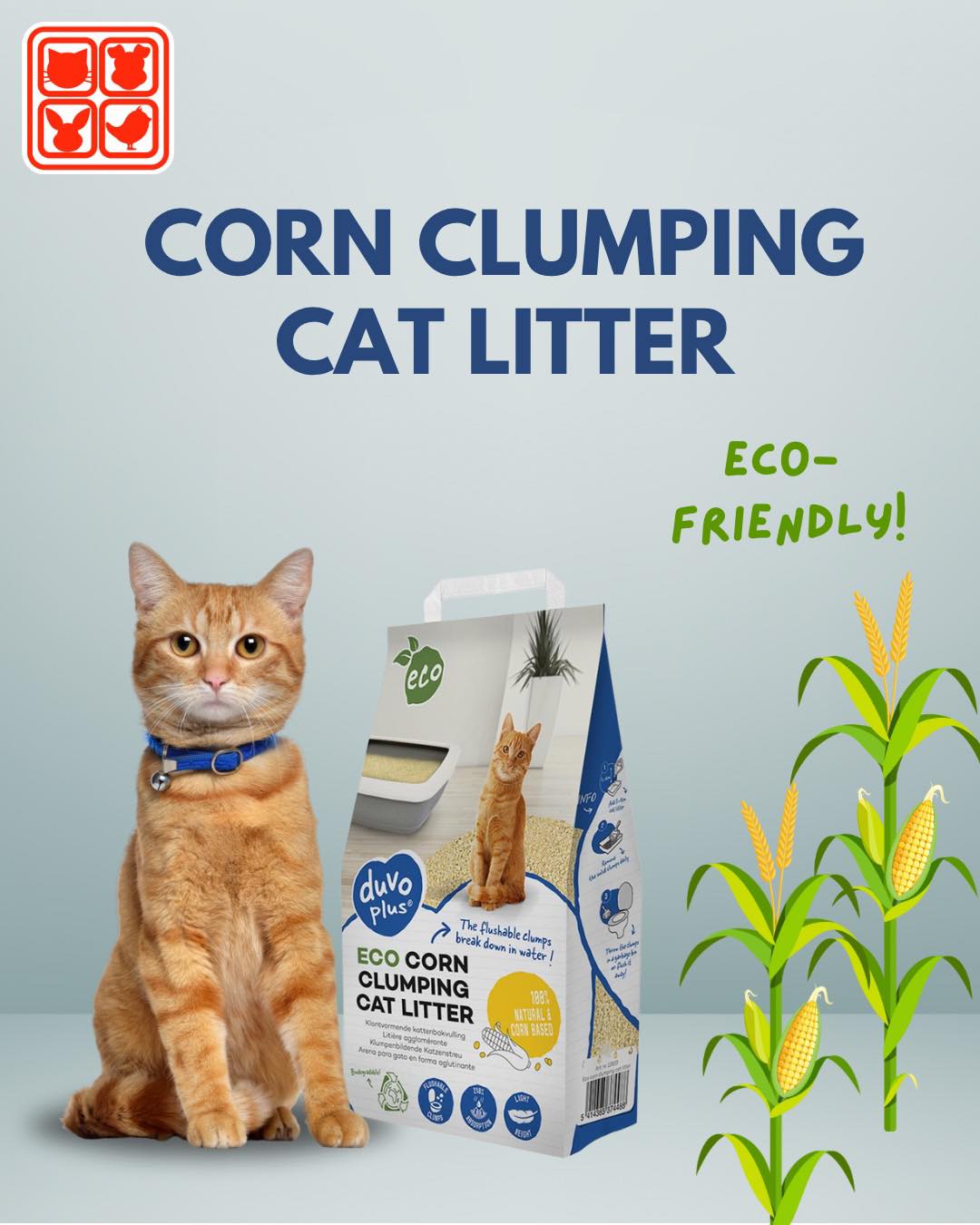 Cat Box Pet Hyper