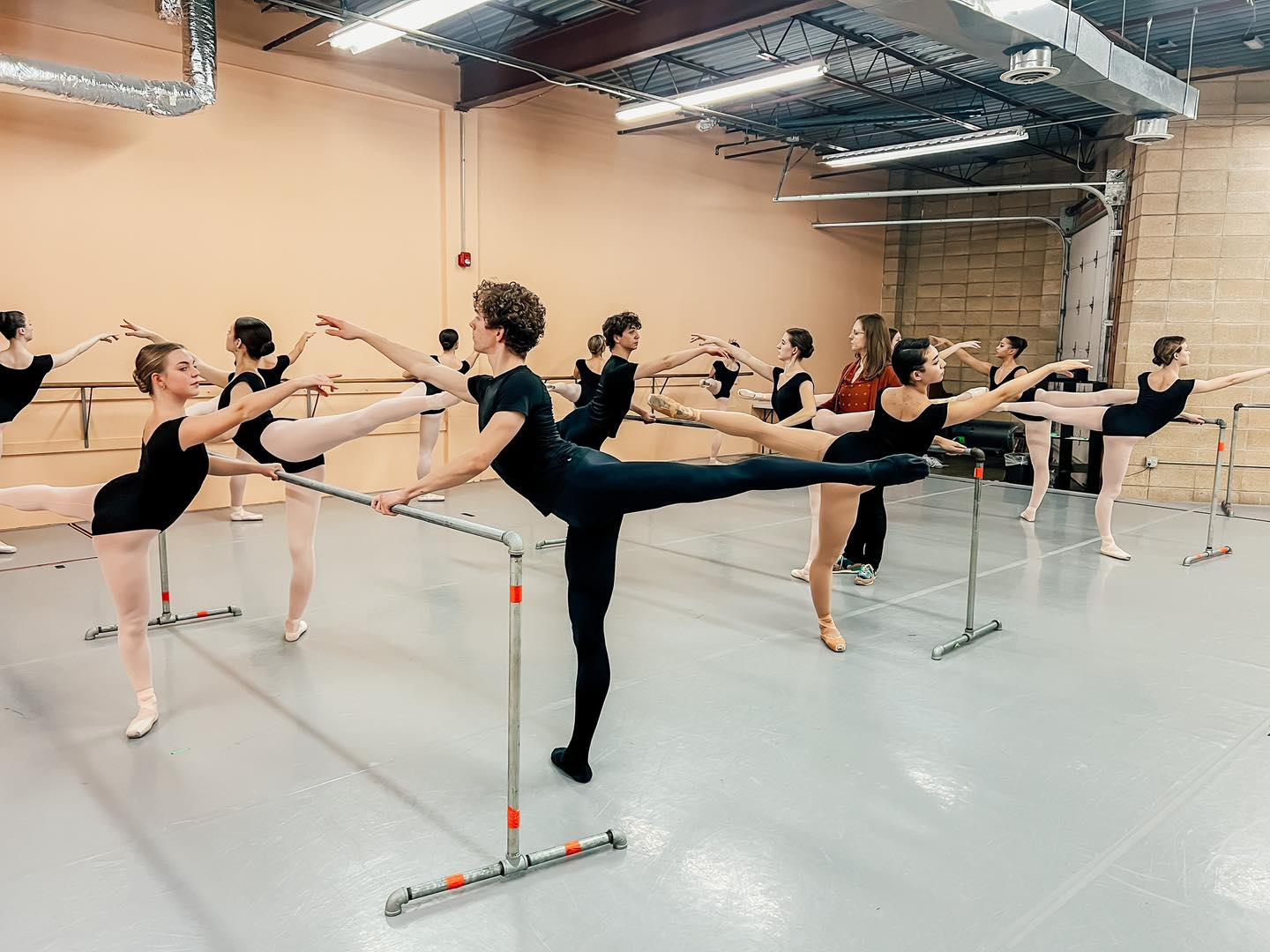 Project Ballet - What is the next step in your dance... | Facebook