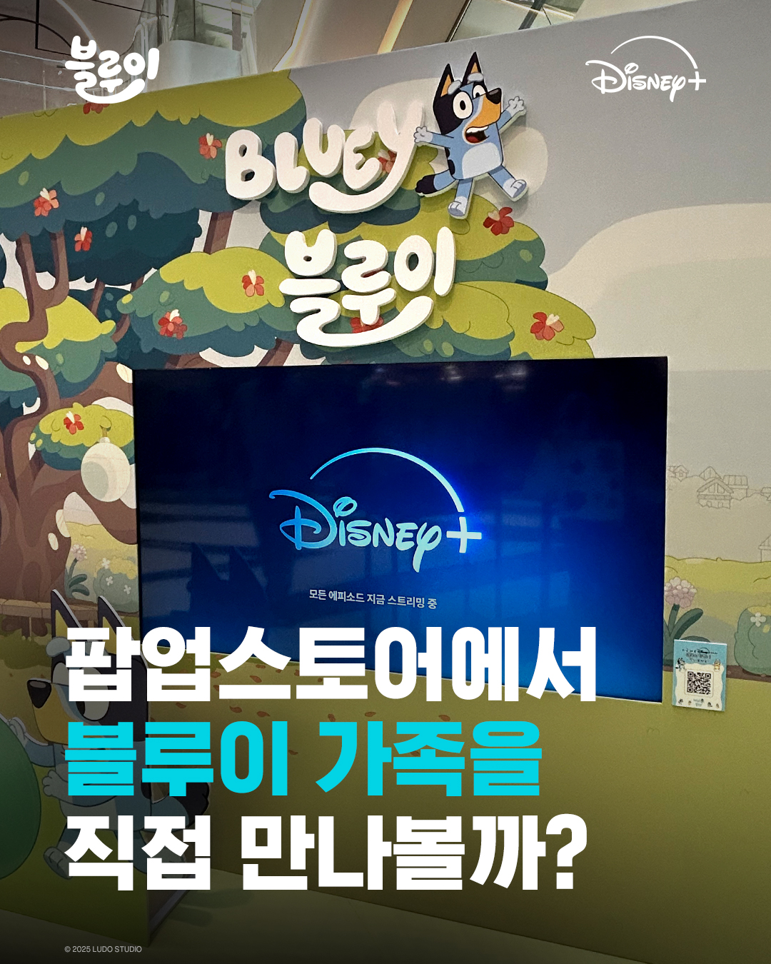 Disney+ - 전 세계 어린이들의 사랑을 받는 블루이가 어린이들을 위해 찾아 왔다개🐶 ⠀ 블루이... | Facebook