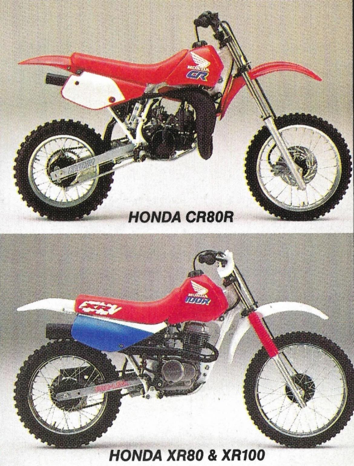 1996 Honda CR80R 🏁 #pocketrocket #MiniRacers #honda #dirtbike