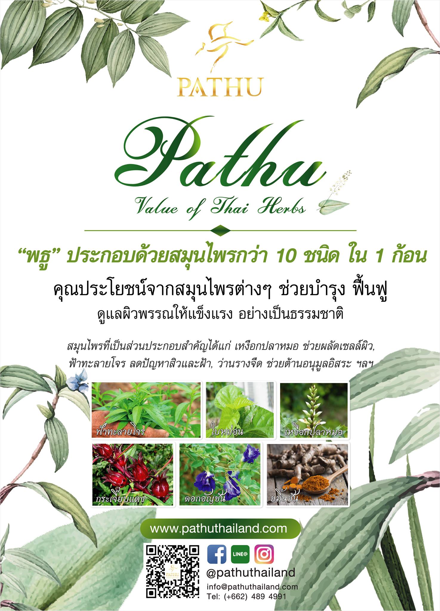 Pathu Thailand - 