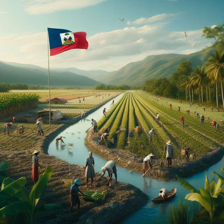 Stiward Georgeon zafè lasante - KONSÈY POU SOVE VI TIMOUN YO Nan jou sa ...