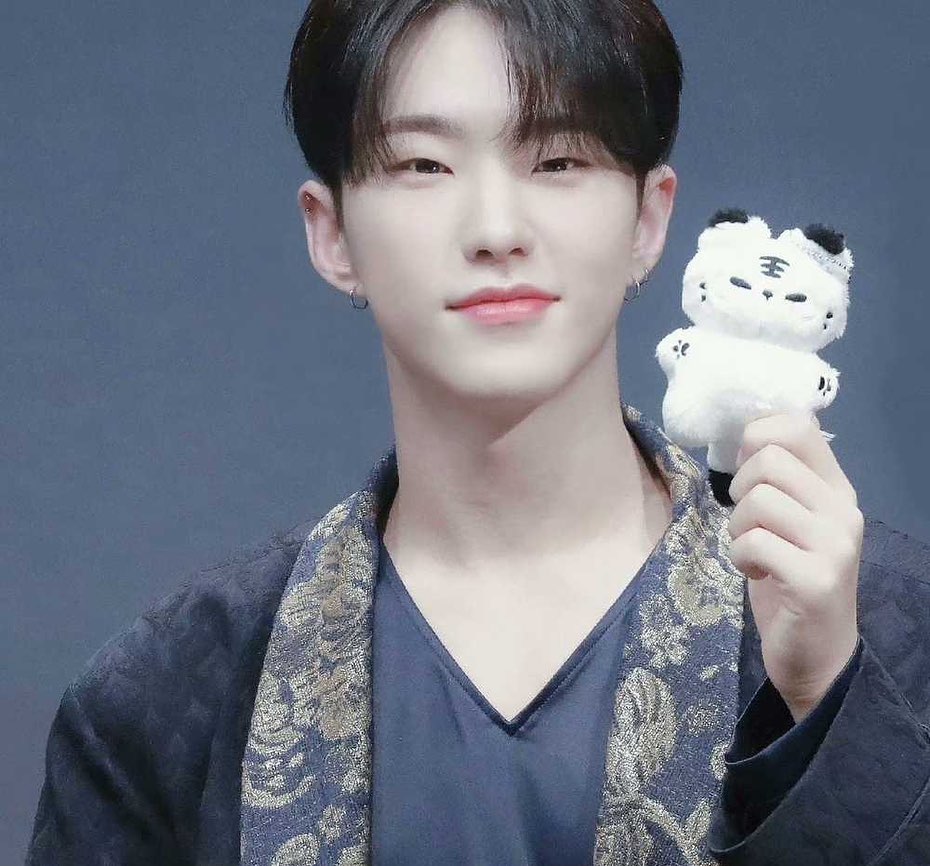 💎SEVENTEEN ホシ ウォヌ ぬいぐるみ🧸 #SEVENTEEN #seventeen #hoshi