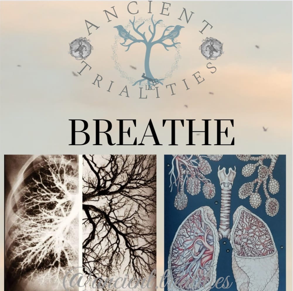 Ancient - Today is National Grief Awareness Day! ☝️Did you know that ...