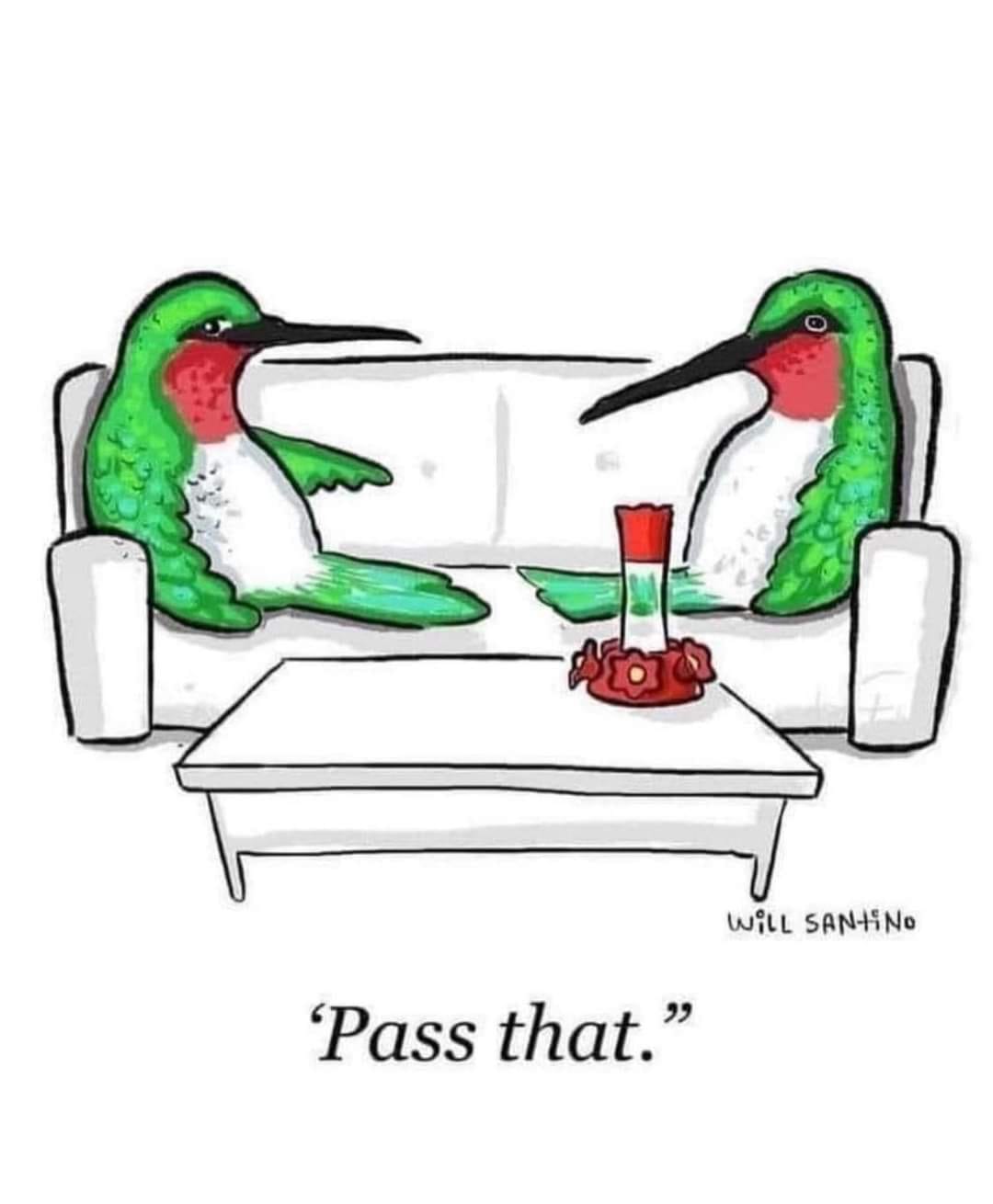 Some folks need to... - Help Save Our Hummingbirds HSOH