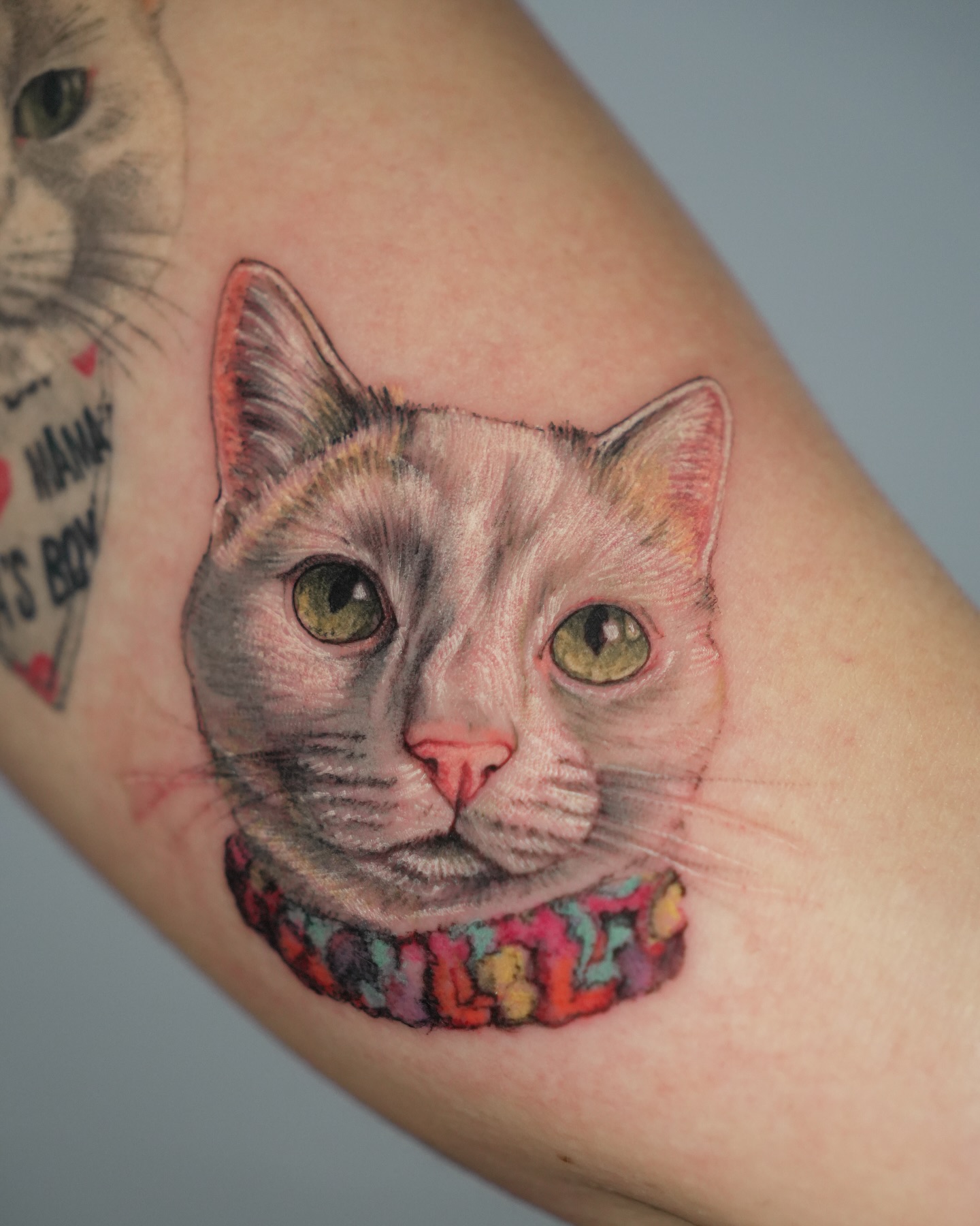 The Little Rabbit Ink