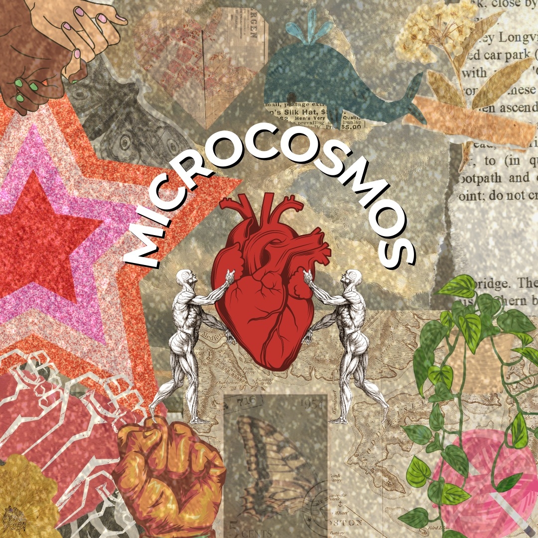 Colectivo Microcosmos added a new... - Colectivo Microcosmos