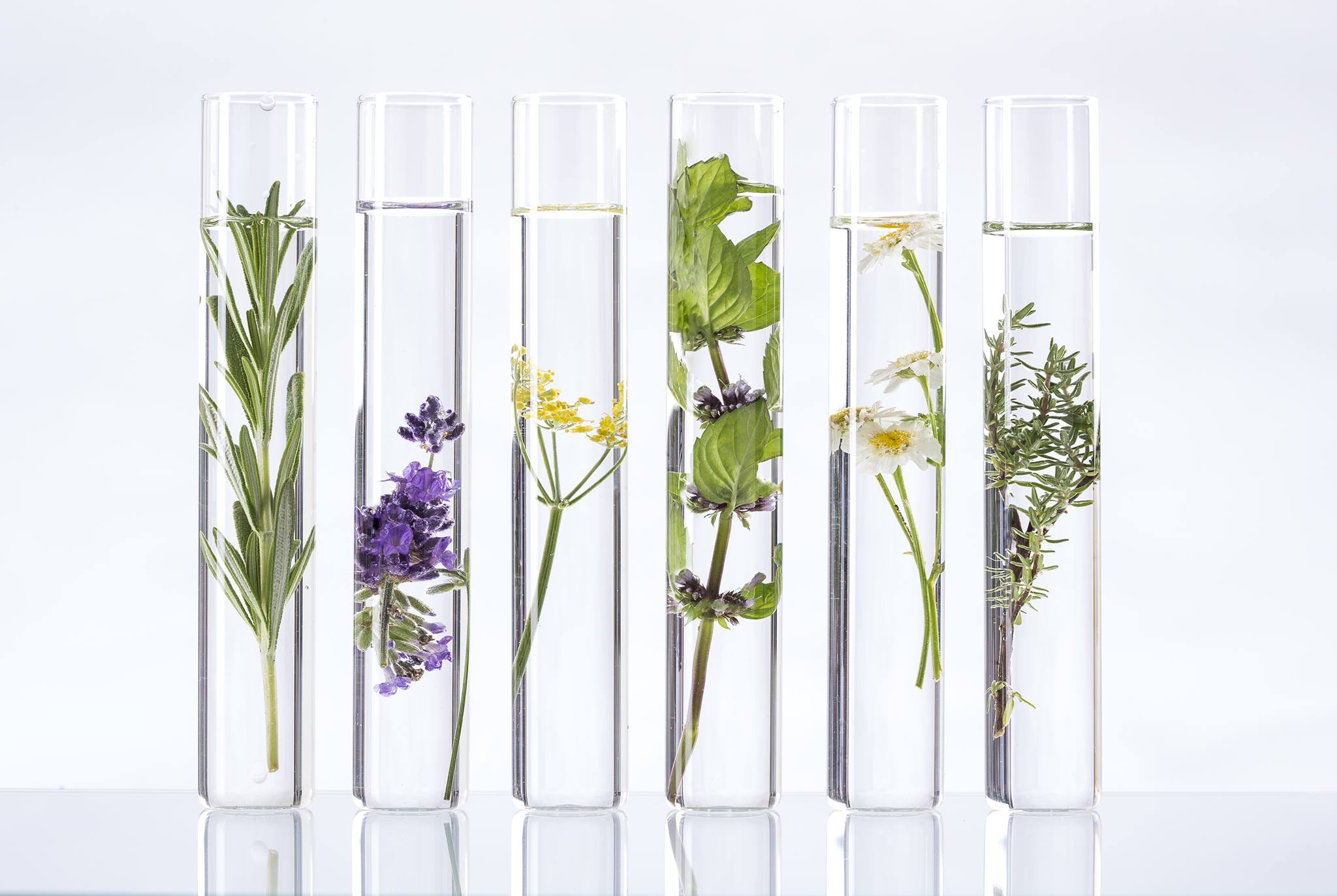 Laboratoires Sarbec