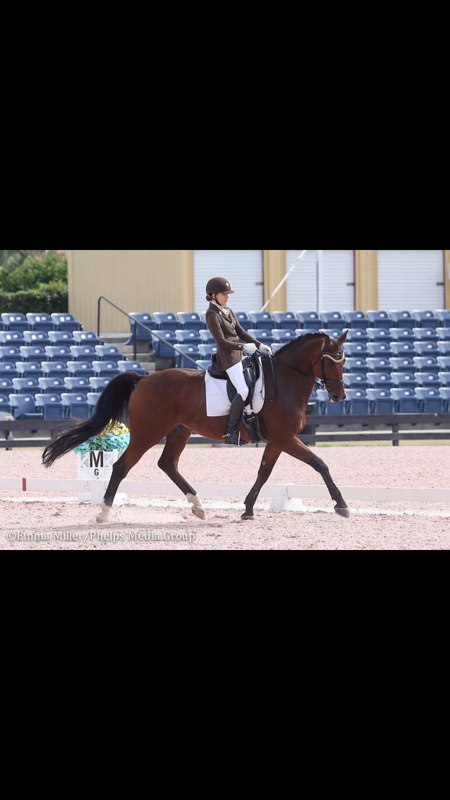 Jordan Lockwood Dressage