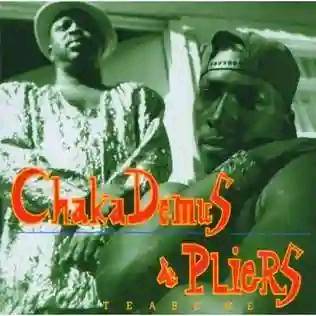 Chaka Demus and Pliers' Tease Me Song Discussion