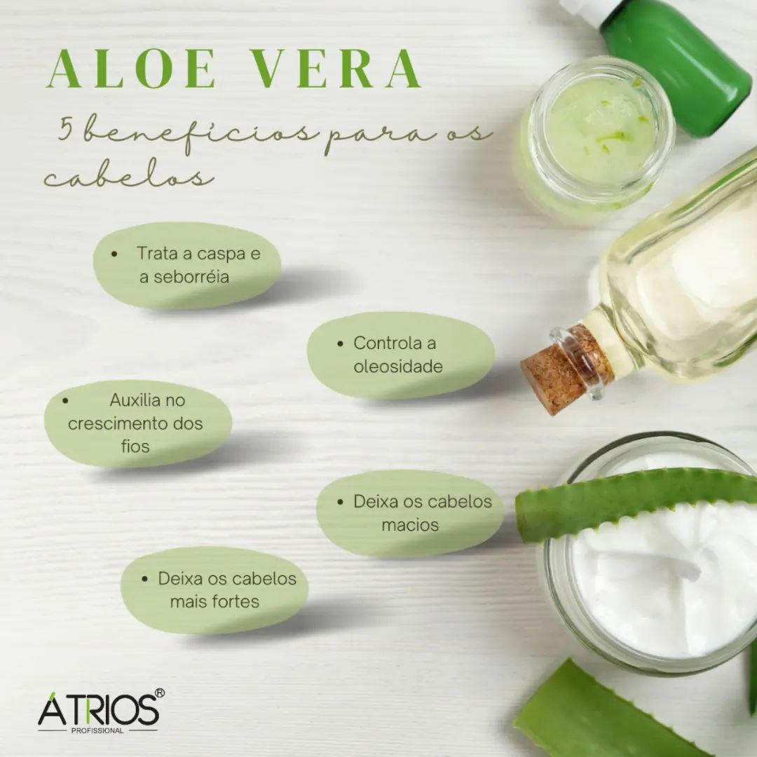 Átrios Profissional - 🍃 BENEFÍCIOS DA BABOSA (Aloe Vera) – Recupera ...