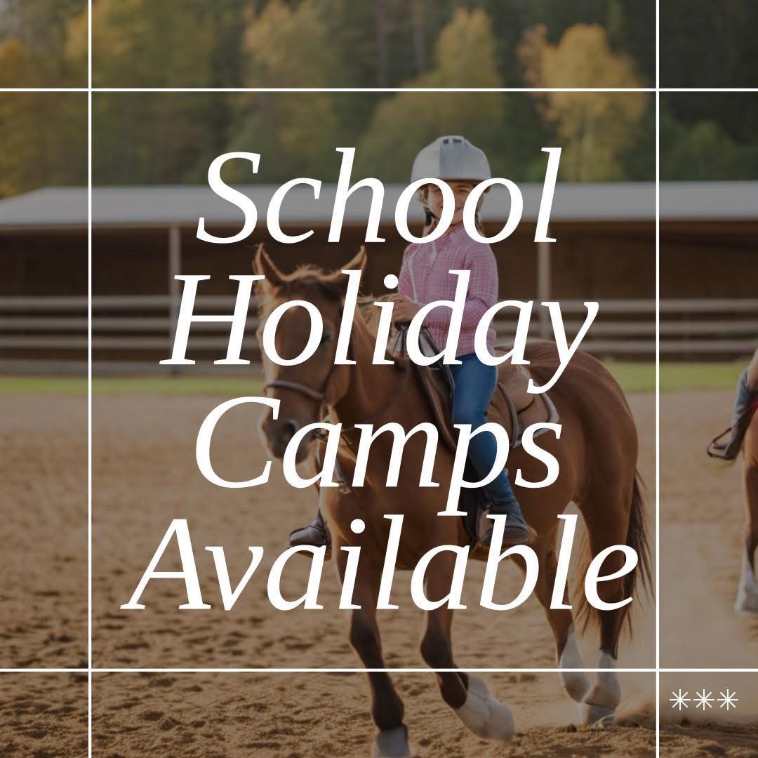 C Dale Ranch - 🤍 Horse Riding School Holiday Camps 🤍... | Facebook